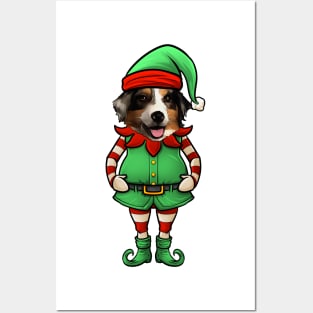 Australian Shepherd Christmas Elf Posters and Art